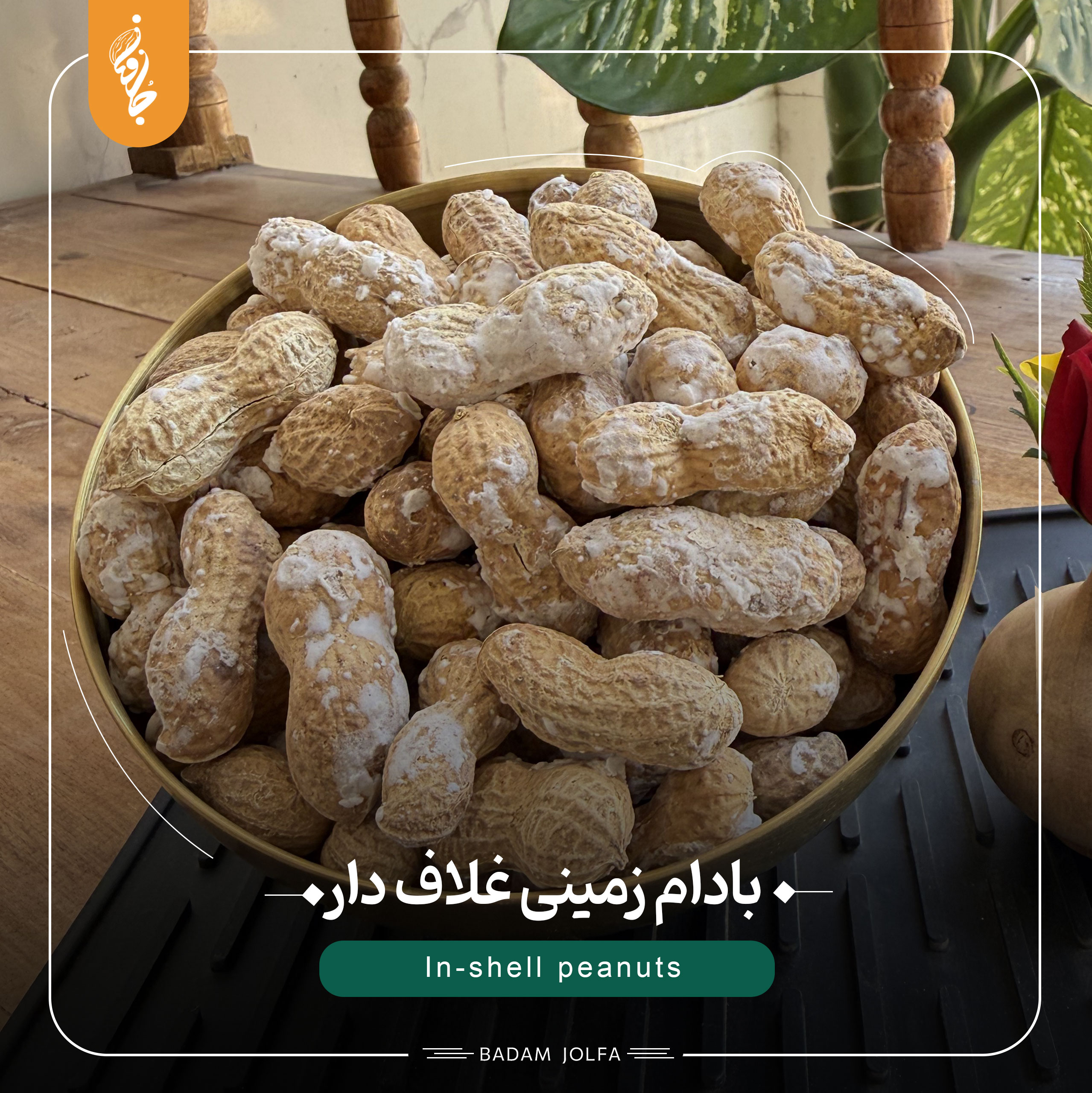 بادام زمینی مناسب کره گیری