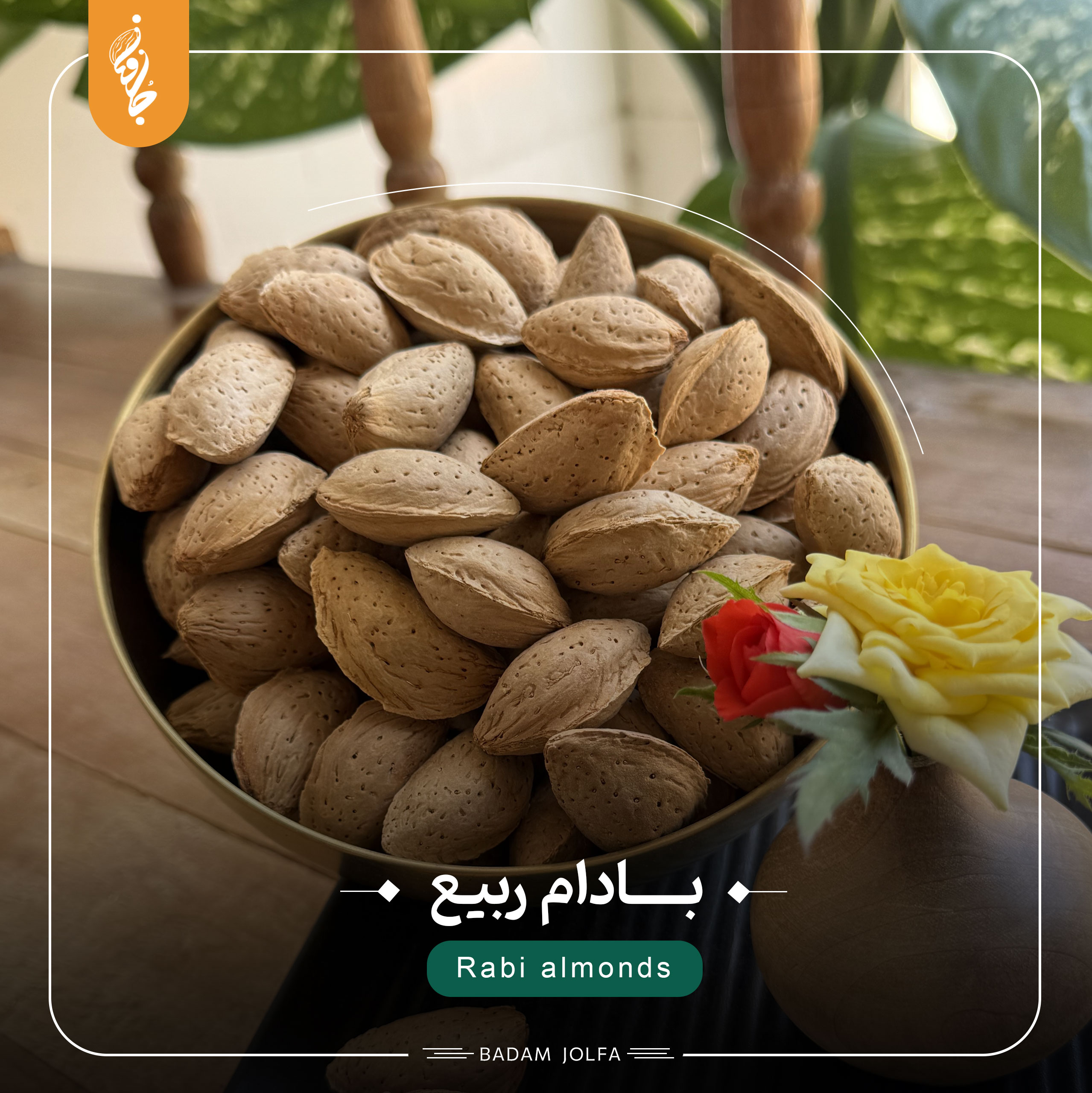 بادام ربیع با پوست