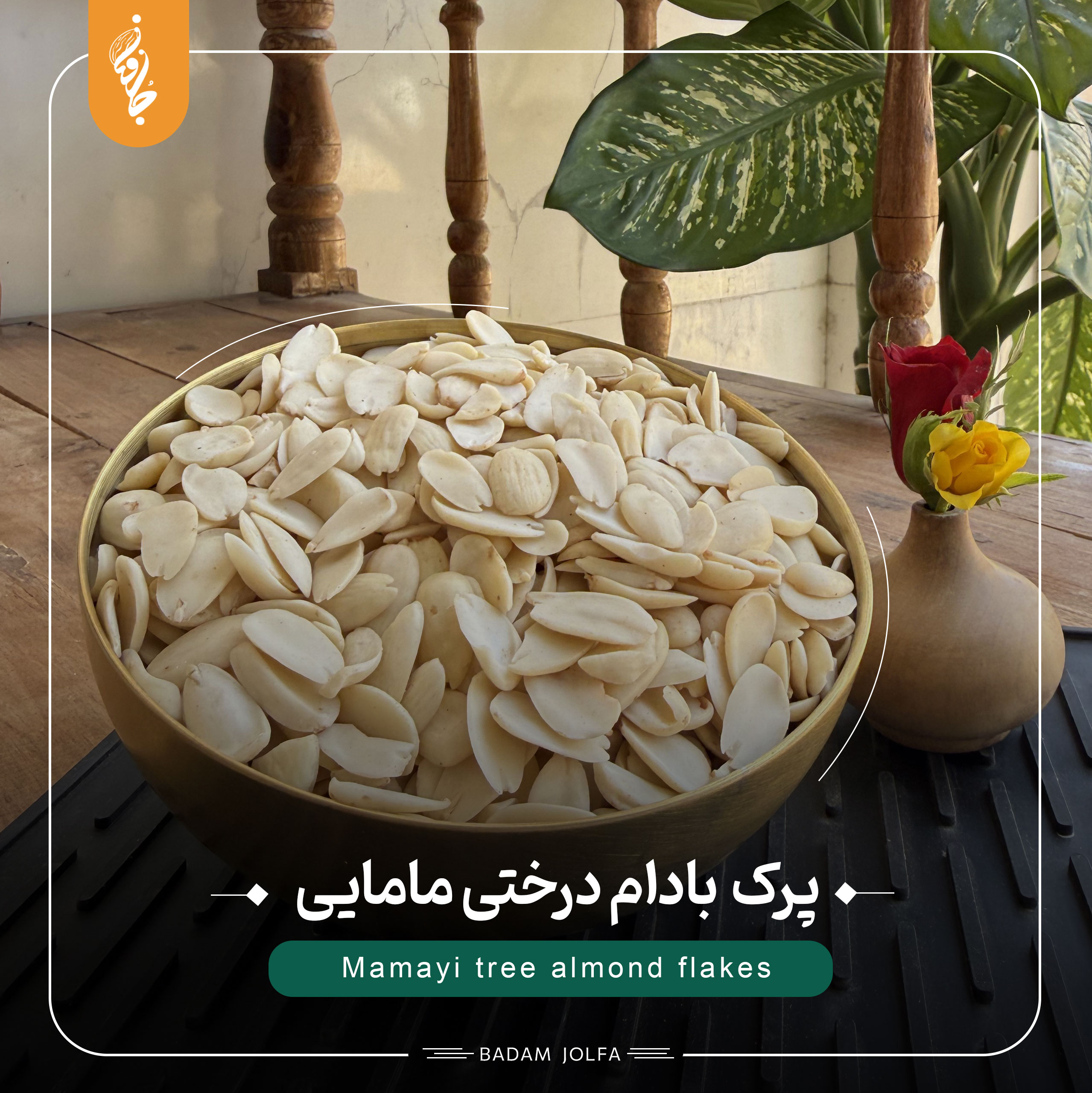 پرک بادام درختی مامایی