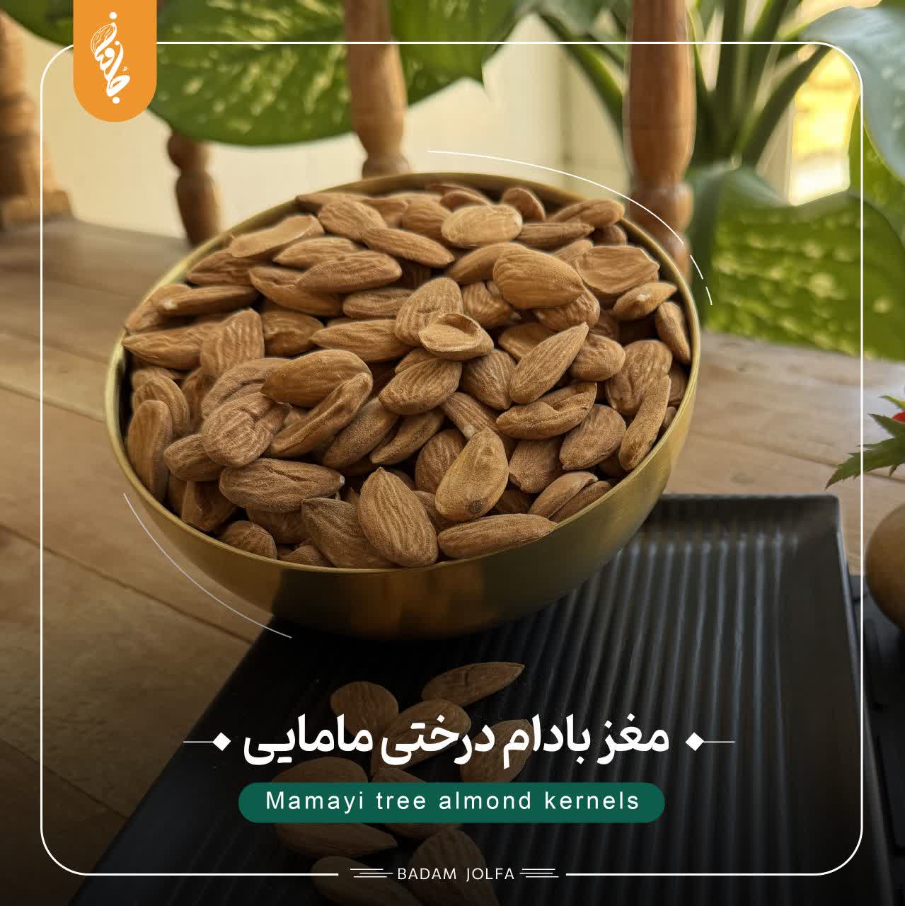 مغز بادام درختی مامایی